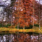 Autumn reflections in Balmoral