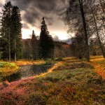 Autumn reflections in Balmoral