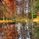 Autumn reflections in Balmoral