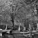 The graveyard from St. Nicholas Kirk