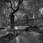 The graveyard from St. Nicholas Kirk