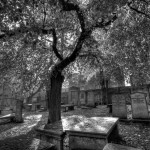 The graveyard from St. Nicholas Kirk