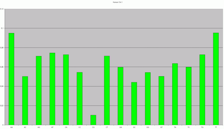 Human Chr. 1